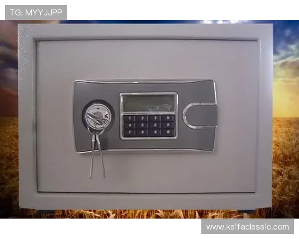 凯发k8官网入口详细介绍最新版本下载及安全登录流程全攻略